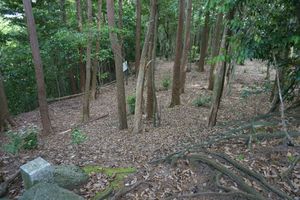 세이후쿠지 성터.