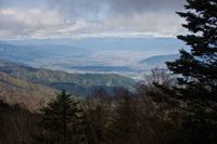 다이보사쓰레이산(大菩薩嶺)에서 바라본 고후 분지(甲府盆地)