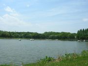 쇼나이 료쿠치 공원(庄内緑地公園)