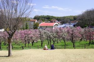 나고야시 농업센터
