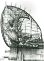 금망이 쳐진 긴샤치