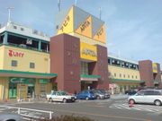 아피타 나루미점