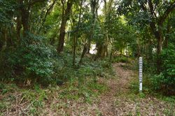 쓰카자키 고분군 제51호분