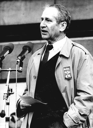 1989년 11월 4일 알렉산더광장 시위에서 연설하는 볼프