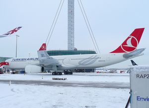 터키항공(Turkish Airlines)은 항공기 표식으로 회색 튤립을 사용한다