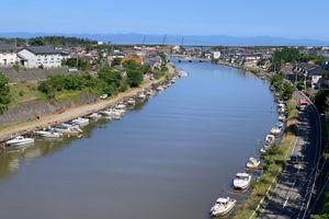 신카와와 니가타사구