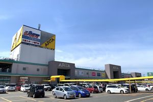 아피타 니가타니시점(2020년 3월)