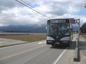 니가타 고쓰 관광 버스의 시내버스