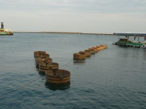 타라이 부네 in 오기 항구