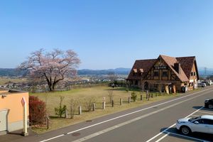 피아 파크 도우린보