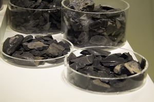 밀로스에서 수입된 흑요석. 미노아 크레타에서 발견됨