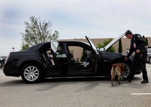 알레게니 군 경찰국(Allegheny County Police Department) 경찰관과 그의 훈련견이 미국 비밀경호국 차량을 폭발물에 대해 검사하고 있다.