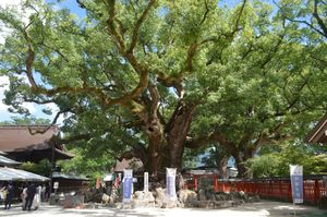 우미 하치만궁의 유후타노모리