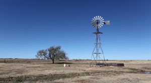 뉴멕시코주 커리 카운티(Curry County, New Mexico), 북아메리카 대평원(Great Plains) 동부