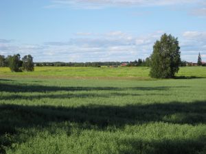 핀란드 리민카의 평야