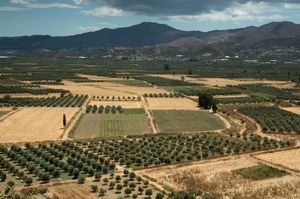 그리스 파이스토스 언덕에서 바라본 메사라 평원.