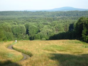헨리 데이비드 소로가 걸었던 와추셋 산