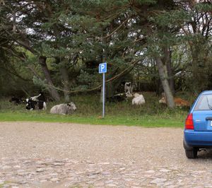 스웨덴 외레브로 섬 코빅의 시골 주차장
