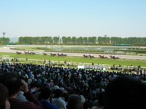 2007년 교토 경마장