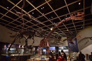 도요하시 시립 자연사 박물관