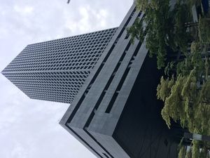 선전 증권거래소