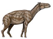 1804년 처음 기술된 팔레오테리움(Palaeotherium) 속의 복원도. 팔레오테리과에 속한다.