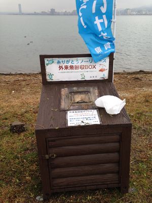 외래어종 회수함