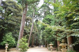 가시마 신궁 경내의 사총(이바라키현 지정 천연기념물)