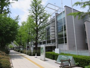 메구로 감나무 홀