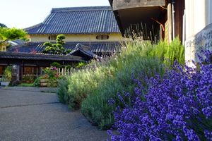 마을 중심에 위치한 구 라이주 가옥.