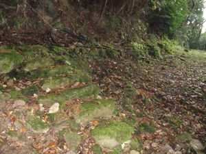 은산가도 도모가우라도