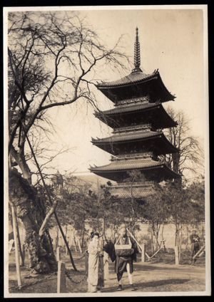 1911년 고후쿠사