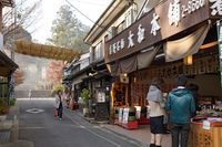 요시노의 문전마을