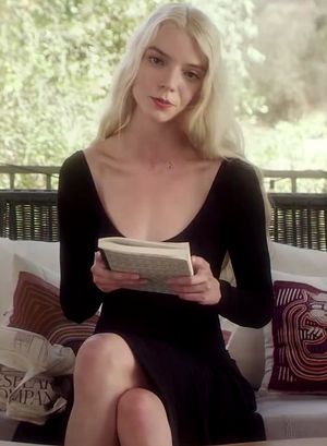 2021년 테일러-조이