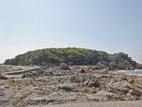 에스사키섬(온난대성 식물군락)