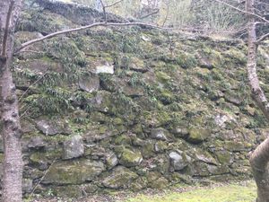 와카야마성의 성벽(노즈미쌓기)