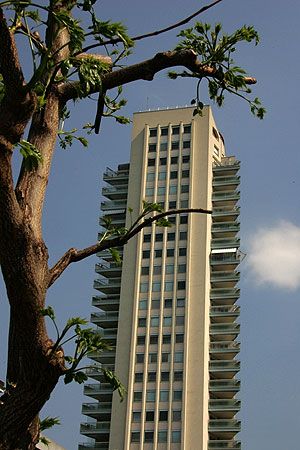 몽트뢰의 고층 건물