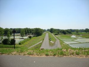 사이타마시사쿠라구에 있는 아라카와 강 좌안의 횡제.