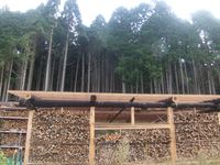 미야마정의 기타야마스기