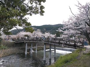 나카노시마바시