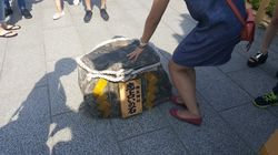 사랑의 돌을 만지는 관광객