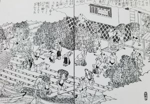 도지마 코메카이쇼}}