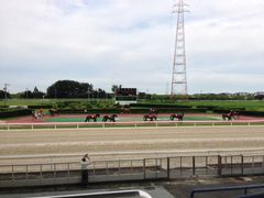 가사마쓰 경마장(笠松競馬場)