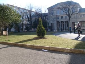 리옹 제2대학교: 론 강변 캠퍼스