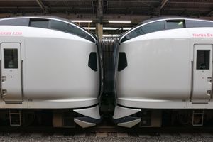 E259계의 연결 부분. 일부 열차는 도쿄역에서 분할·병합을 한다.