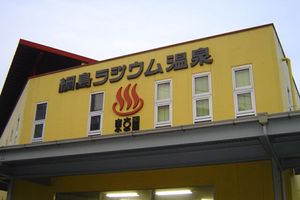 쓰나시마 온천 도쿄엔(2015년 폐점)