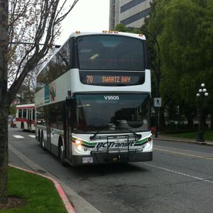 빅토리아 지역 교통 시스템이 운영하는 버스들이 대빅토리아 지역에 대중교통 서비스를 제공하고 있다.