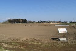 幡羅官衙遺跡(幡羅郡衙跡)(深谷市 동방・熊谷市 서별부)}}