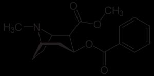 Cocaine, a precursor for anatoxin-a synthesis.