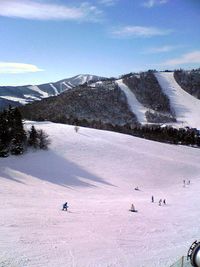 스가다이라 고원 스키장